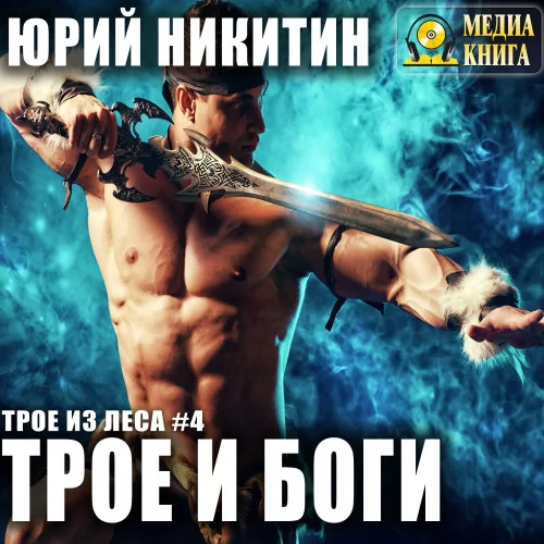 Трое из леса 4. Трое и боги - Юрий Никитин